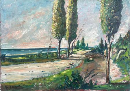 Quadro di Bruno Seroni Paesaggio - olio tela 